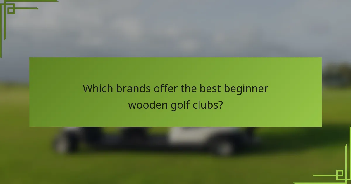 Which brands offer the best beginner wooden golf clubs?