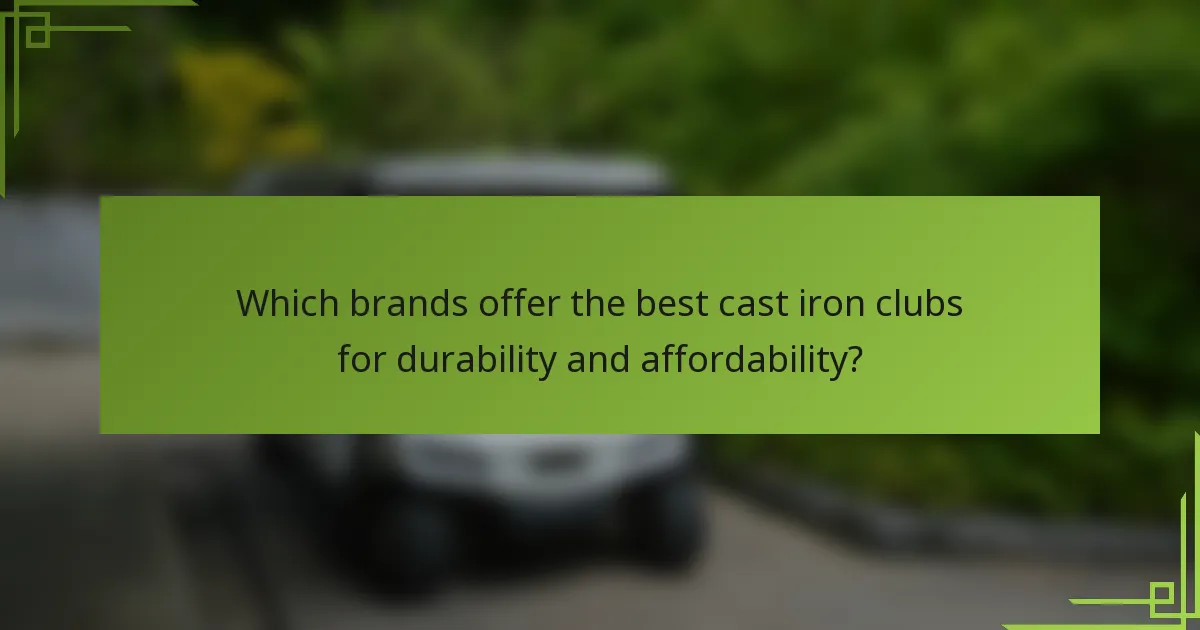 Which brands offer the best cast iron clubs for durability and affordability?